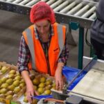 Fruit Picking Jobs in Germany That Struggle to Find Workers