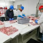 Food Processing Jobs in New Zealand With Overtime Opportunities